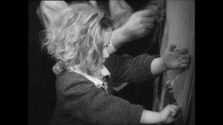 Link to Video | Paul Karl Lieberenz