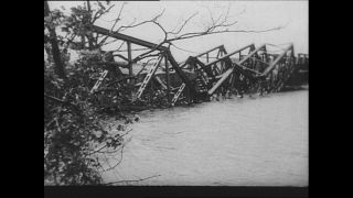 Link to Video | Paul Karl Lieberenz