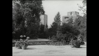 Link to Video | Paul Karl Lieberenz