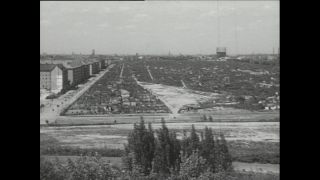 Link to Video | Paul Karl Lieberenz