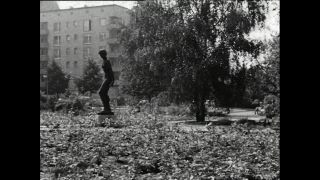 Link to Video | Paul Karl Lieberenz