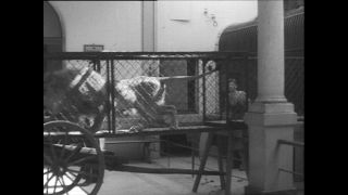 Link zum Video | Paul Lieberenz