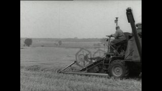 Link to Video | Paul Karl Lieberenz