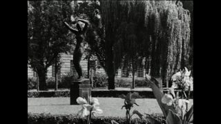 Link to Video | Paul Karl Lieberenz