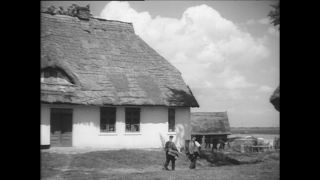 Link to Video | Paul Karl Lieberenz