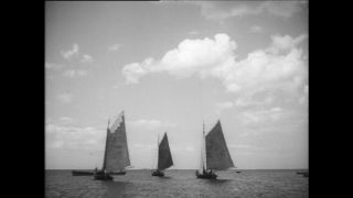 Link to Video | Paul Karl Lieberenz