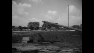 Link to Video | Paul Karl Lieberenz