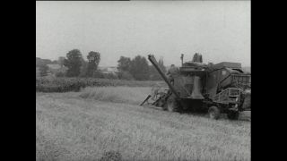 Link to Video | Paul Karl Lieberenz