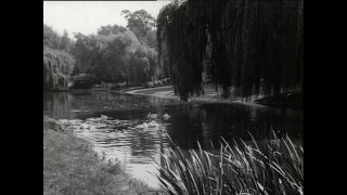 Link to Video | Paul Karl Lieberenz