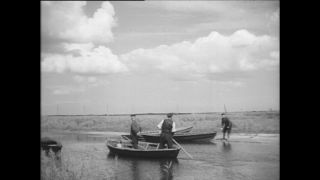 Link to Video | Paul Karl Lieberenz