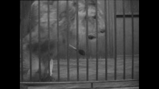 Link zum Video | Paul Lieberenz