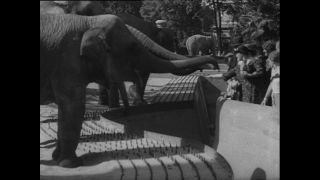 Link to Video | Paul Karl Lieberenz