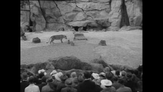 Link to Video | Paul Karl Lieberenz