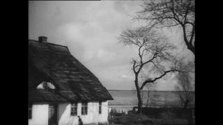 Link to Video | Paul Karl Lieberenz