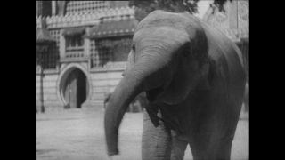 Link to Video | Paul Karl Lieberenz