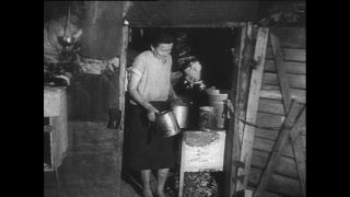 Link to Video | Paul Karl Lieberenz