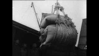 Link zum Video | Paul Lieberenz