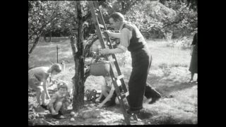 Link to Video | Paul Karl Lieberenz, square, Kleingärtner, fuddy-duddy