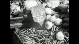 Link to Video | Paul Karl Lieberenz