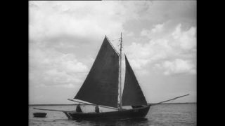 Link to Video | Paul Karl Lieberenz