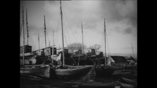 Link to Video | Paul Karl Lieberenz