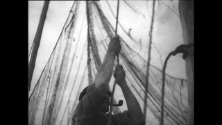 Link to Video | Paul Karl Lieberenz