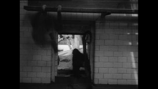 Link to Video | Paul Karl Lieberenz