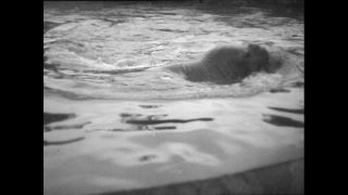 Link to Video | Paul Karl Lieberenz