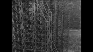 Link to Video | Paul Karl Lieberenz