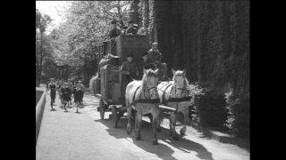 Link to Video | Paul Karl Lieberenz