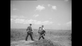 Link to Video | Paul Karl Lieberenz