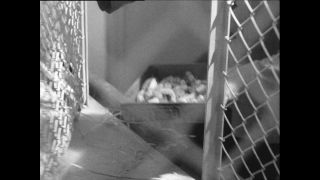 Link zum Video | Paul Lieberenz