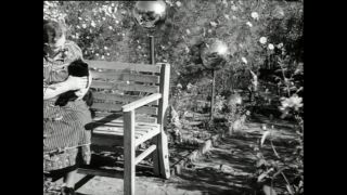 Link to Video | Paul Karl Lieberenz, square, Kleingärtner, fuddy-duddy