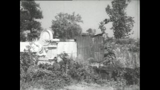 Link to Video | Paul Karl Lieberenz