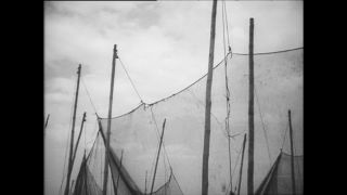 Link to Video | Paul Karl Lieberenz