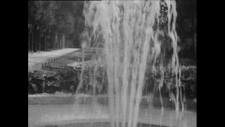 Link to Video | Paul Karl Lieberenz