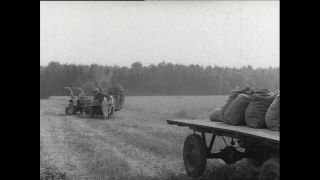 Link to Video | Paul Karl Lieberenz