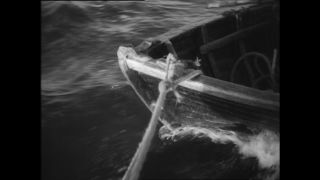 Link zum Video | Paul Lieberenz