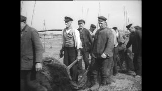 Link to Video | Paul Karl Lieberenz