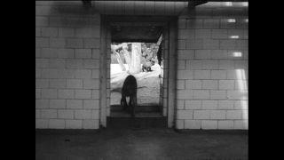 Link to Video | Paul Karl Lieberenz