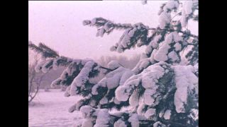 Link to Video | Paul Karl Lieberenz