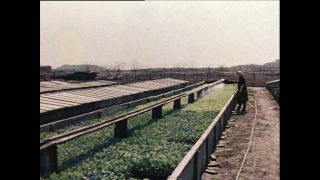 Link to Video | Paul Karl Lieberenz