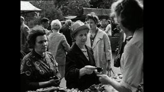 Link to Video | Paul Karl Lieberenz