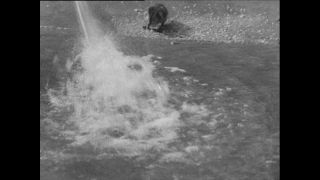 Link zum Video | Paul Lieberenz