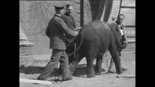 Link zum Video | Paul Lieberenz