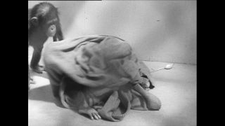 Link to Video | Paul Karl Lieberenz