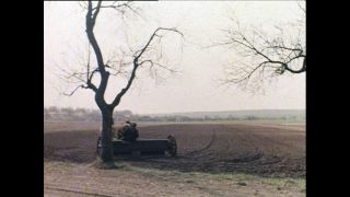 Link to Video | Paul Karl Lieberenz