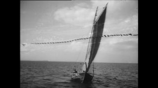 Link zum Video | Paul Lieberenz