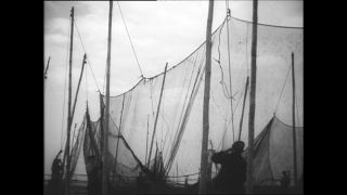 Link to Video | Paul Karl Lieberenz