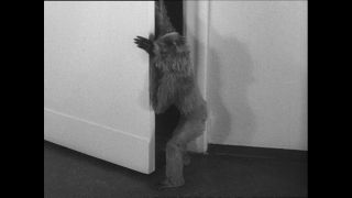 Link to Video | Paul Karl Lieberenz